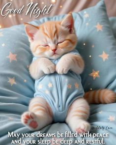 an orange and white cat laying on top of a pillow with the caption, good night may your dreams be filled with peace and your sleep deep and restful