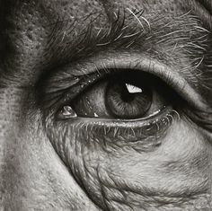 an old man's eye is shown in this black and white photo