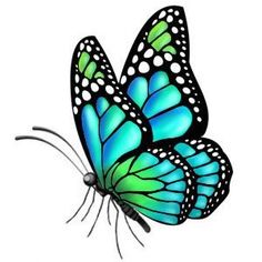 a blue and green butterfly flying in the air