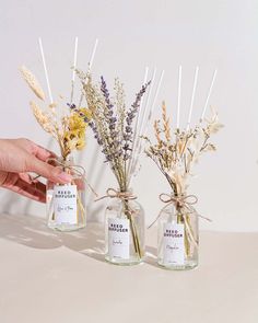 three vases with dried flowers in them on a white countertop, one is holding an empty jar