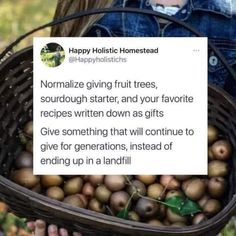 a woman holding a basket full of fruit with the caption happy holicious homestead