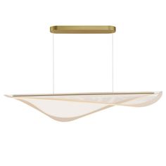 a modern light fixture hanging from the ceiling with two lights on each side and an oval shaped