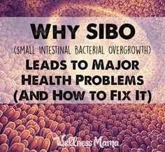 Why SIBO Leads to Major Health Problems (And How to Fix It) Elemental Diet, Specific Carbohydrate Diet, Health Cleanse, Wellness Mama, Adolescent Health, Low Fodmap Diet