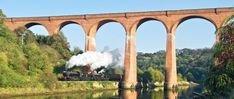 an old train traveling over a bridge next to a body of water with trees on both sides