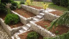 an outdoor garden with steps leading up to it