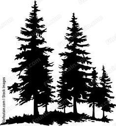 three pine trees silhouetted against a white background