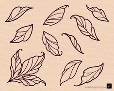 the leaves are drawn on paper with ink