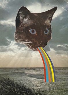 a black cat with blue eyes has a rainbow stick in it's mouth