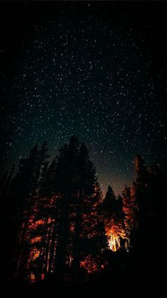 the night sky is filled with stars and trees