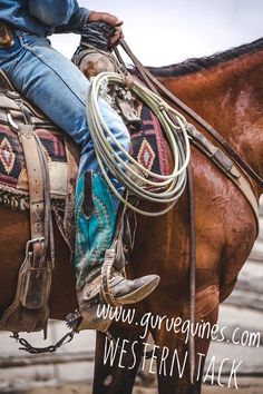 a cowboy sitting on top of a brown horse wearing blue jeans and holding a rope