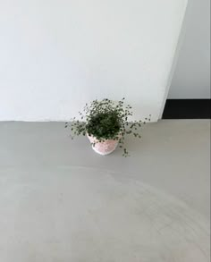 a small potted plant sitting on top of a white table next to a wall