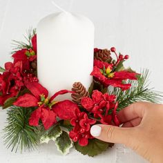 a hand is holding a white candle surrounded by red flowers and pine cones