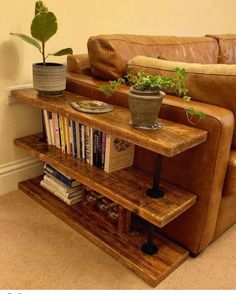 a living room with a couch, book shelf and potted plant on the table