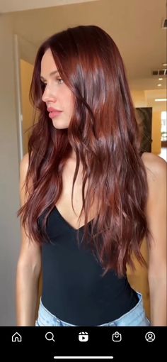 Orchard Red Hair Color, Dark Brown Hair With Red Tent, Curtain Bangs With Red Hair, Auburn Hair Summer, University Hairstyles Curly Hair, Redish Brunette Hair Color, Dark Auburn Hair Olive Skin, Redish Hair Colour