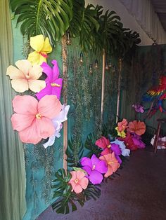 colorful flowers are lined up along the wall