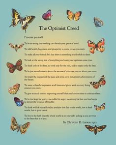 the optimist creek poem with butterflies surrounding it in blue and orange colors on a light blue background