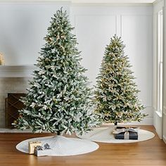 three christmas trees are sitting on the floor in front of a fireplace