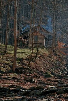 Old Log Cabin, Old Cabins, Little Cabin In The Woods, Cottage Cabin, Cabin Living, Log Cabin Homes, Cabin In The Woods, Cabins And Cottages