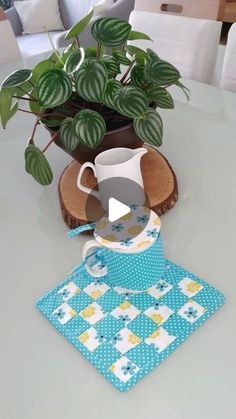 a potted plant sitting on top of a table next to a blue and white place mat