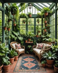 a room filled with lots of green plants and potted plants on top of windows