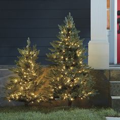 two christmas trees are lit up in front of a house with the door ajar