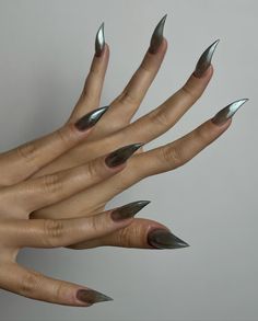 Cat Claw Nails Acrylic, Claw Nails Aesthetic, Claw Like Nails, Cat Claw Nails Designs, Raptor Claw Nails, Cat Claws Nails, Cat Claw Acrylic Nails, Claws Aesthetic, Kitty Claws Nails