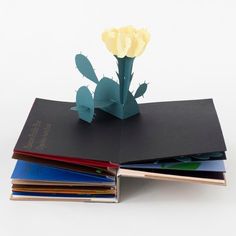 several books stacked on top of each other with a flower sticking out of the middle