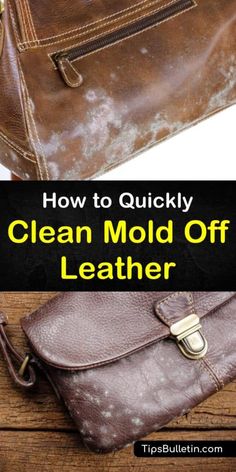 how to quickly clean mould off leather bags and purses with this easy step - by - step guide