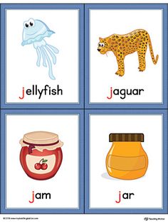 four different types of animals and their names are shown in this printable flash card