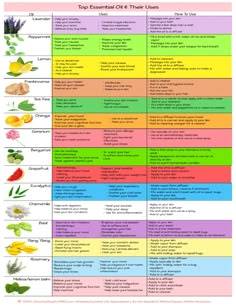 Essential Oils & Their Uses Printable Chart, Essential Oil Chart, Essential Oil Uses, Essential Oil Printable, Essential Oil Reference Guide - Etsy Essential Oil Smells, Top 10 Essential Oils To Have, Best Essential Oils To Have, Basic Essential Oil Blends, Essential Oils For Water Retention, Witchcraft Essential Oils, Essential Oil Blends For Perfume, Young Living Essential Oils Recipes Diffuser, Zodiac Essential Oil Blends