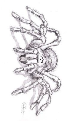 a drawing of a spider with claws on it's face and hands, in the middle