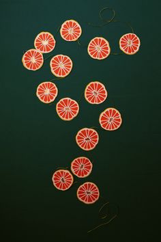 slices of grapefruit are arranged on a green surface