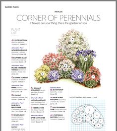 the corner of perennials is shown in this book, with instructions for how to grow them