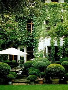 an outdoor garden with trees, bushes and umbrellas