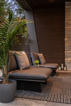 a couch sitting on top of a rug next to a potted plant