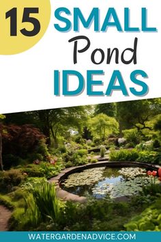 small pond with text overlay that reads 15 small pond ideas