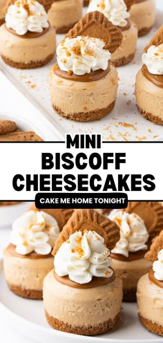 mini biscotti cheesecakes with whipped cream on top and cookie crust in the middle