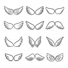 the different types of wings that can be used for tattoos or other things to draw