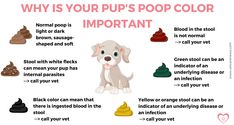 a poster with different types of poop