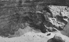 an old black and white photo of two dogs in front of a mountain side cliff