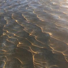 the water is very shallow and it looks like waves are coming up from the sand