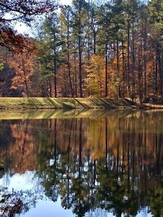 a lake surrounded by lots of trees in the middle of autumn time with water reflecting it's leaves