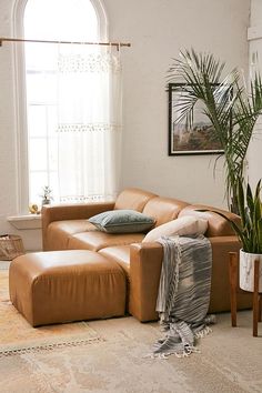 a living room filled with furniture and a large potted plant in front of a window