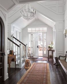 a dog is laying on the floor in front of a door and chandelier