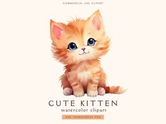 cute kitten watercolor clipart with blue eyes and long hair sitting on the ground