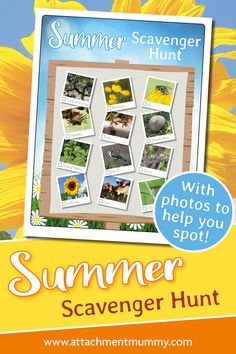 the summer scavenger hunt poster with pictures to help you spot them in it