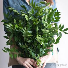 a woman holding a bunch of green leaves