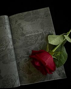 a red rose sitting on top of an open book