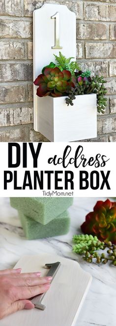 a diy planter box with succulents in it and text overlay