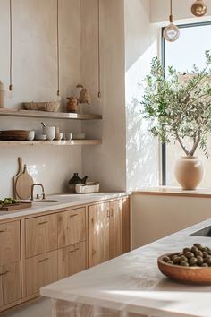 a kitchen filled with lots of counter top space next to a window and potted plant